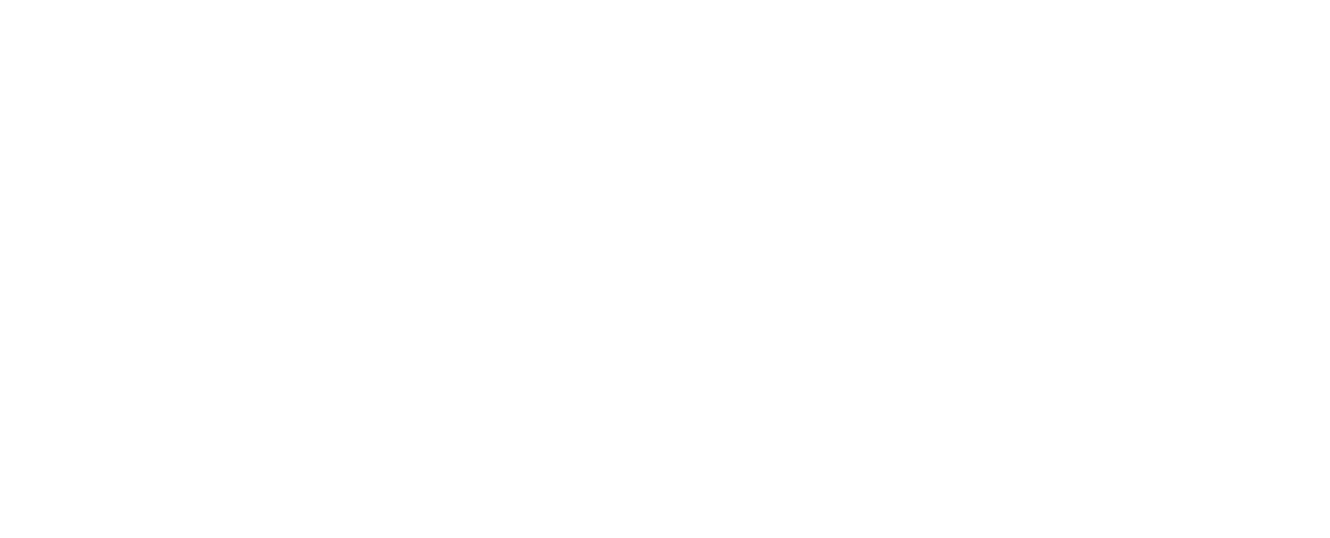 Vision Fest