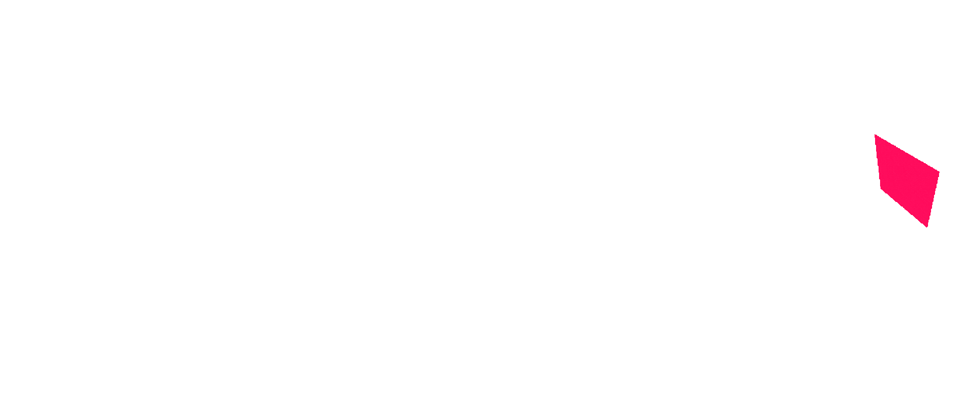 bliksem